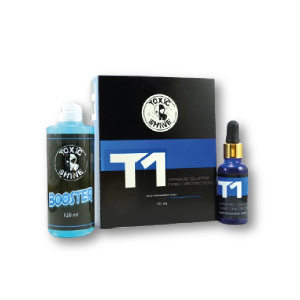 T1